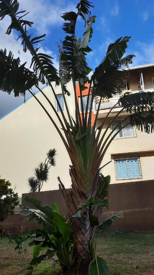 Le Voyageur A 1 Mn Du Chu Sud Terre-Sainte, Saint-Pierre Apartment Екстериор снимка